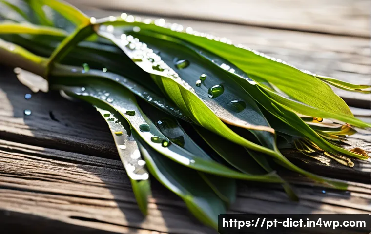 우울증에 좋은 해조류의 효능 - A vibrant, close-up image of fresh kelp seaweed strands arranged on a rustic wooden table, with drop...